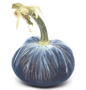 Hot Skwash Denim Velvet Pumpkin